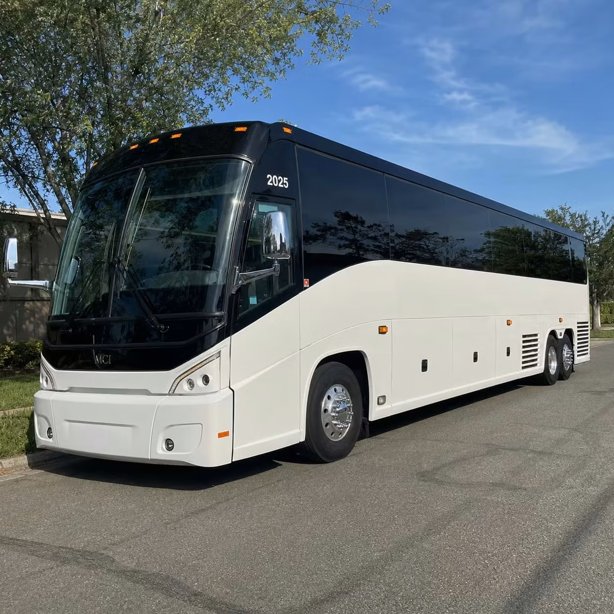 banning buses
