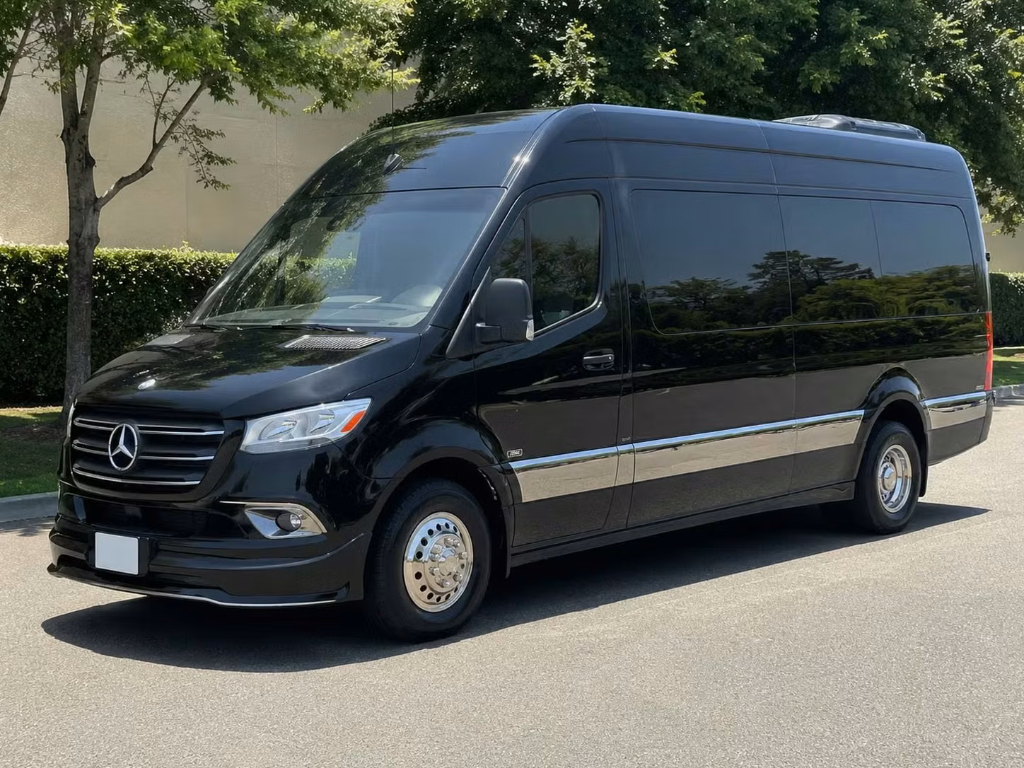 banning sprinter van rental with driver
